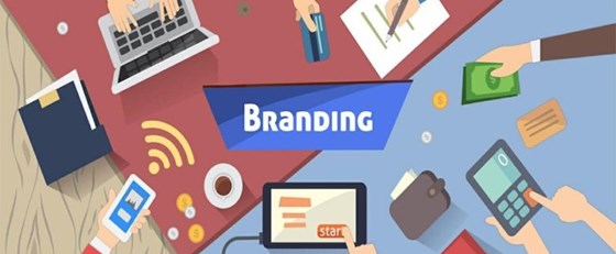 Web Design Vaughan: Website Design & Development